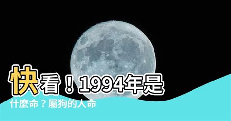 1994屬狗|【1994是什麼狗】「1994是什麼狗？今年屬狗的運勢與命格」